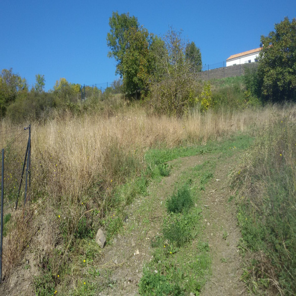 Offres de vente Terrain La Roche-Blanche 63670